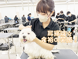 １年生のトリミング実習♪